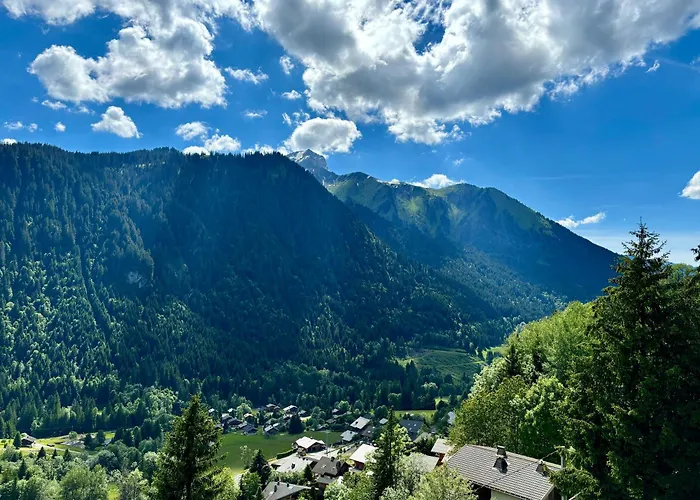 Le Theleme A303 - Vue Panoramique Sur Châtel